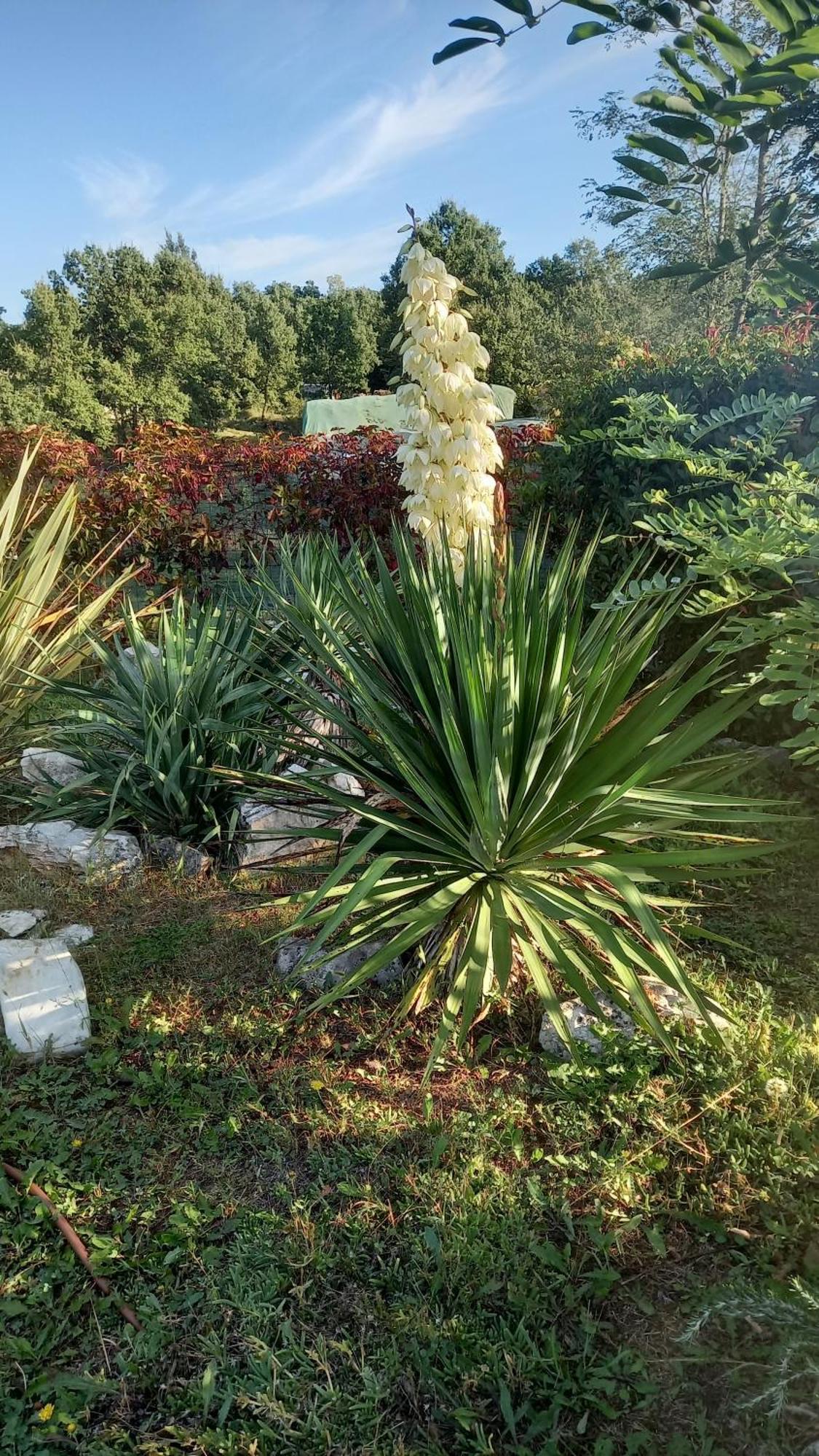 Villa Malini Groznjan Luaran gambar